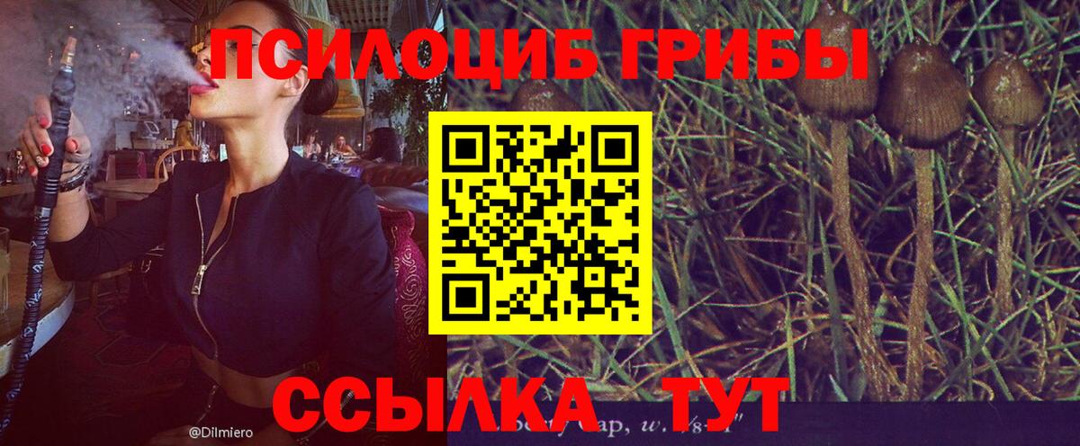 Псилоцибиновые грибы мухоморы Александров