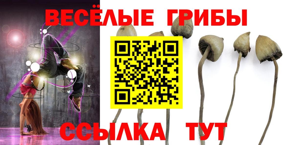 Псилоцибиновые грибы мухоморы  Вход с VPN  Александров 